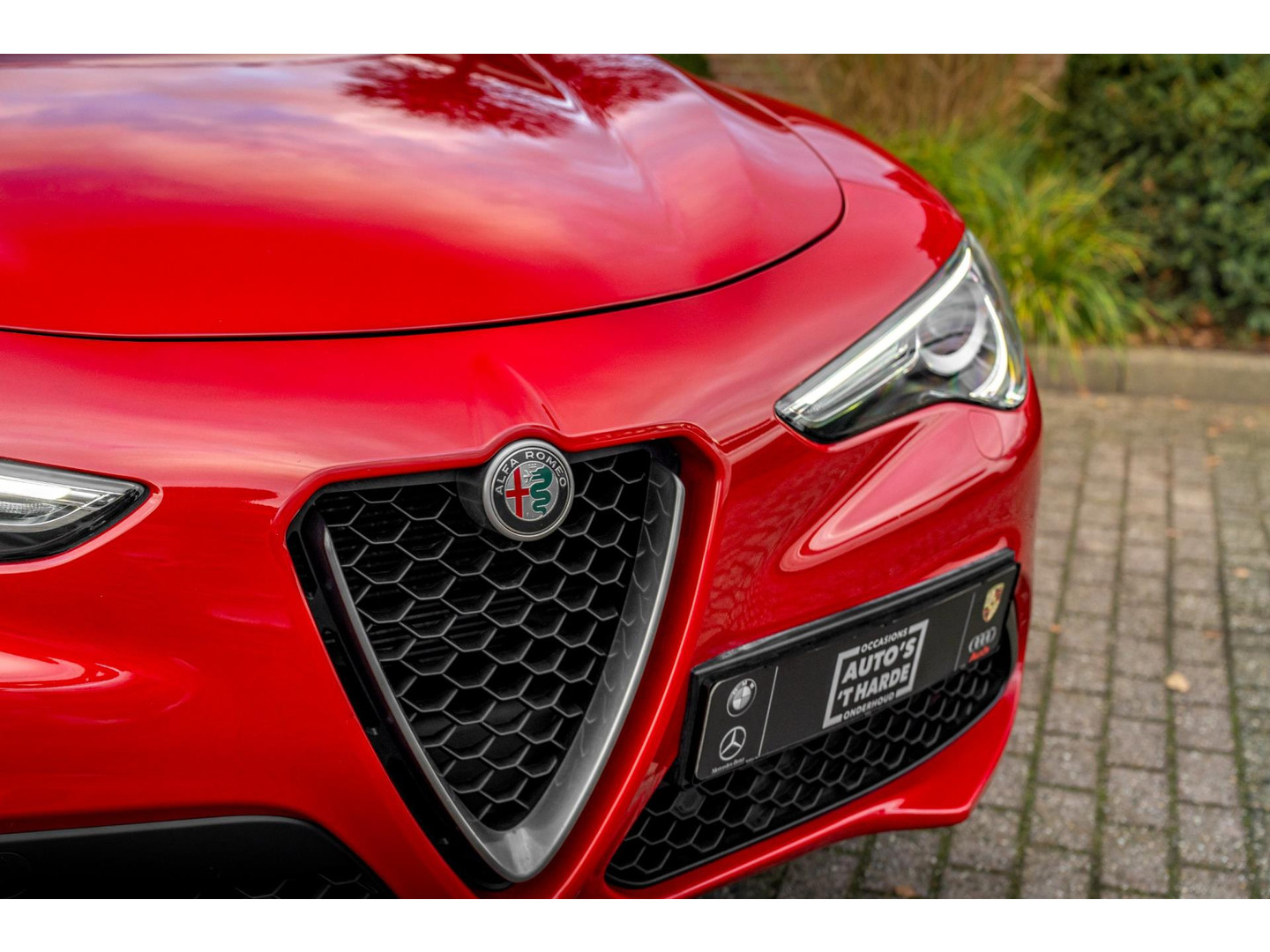 Alfa Romeo Alfa Romeo