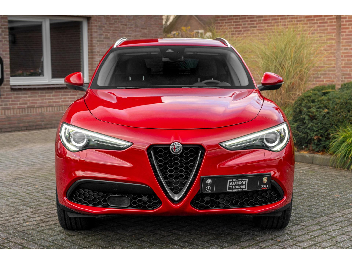 Alfa Romeo Alfa Romeo