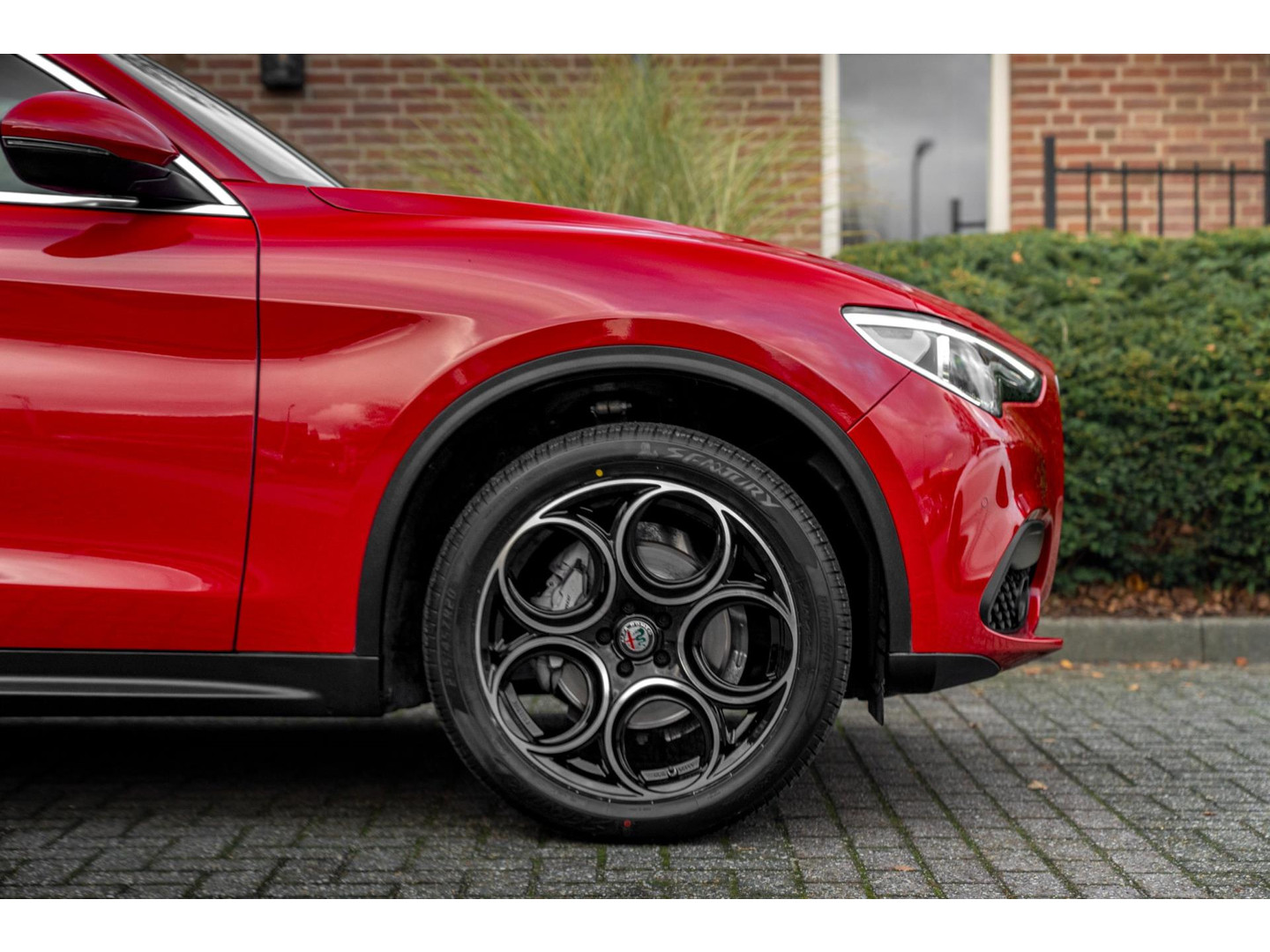 Alfa Romeo Alfa Romeo