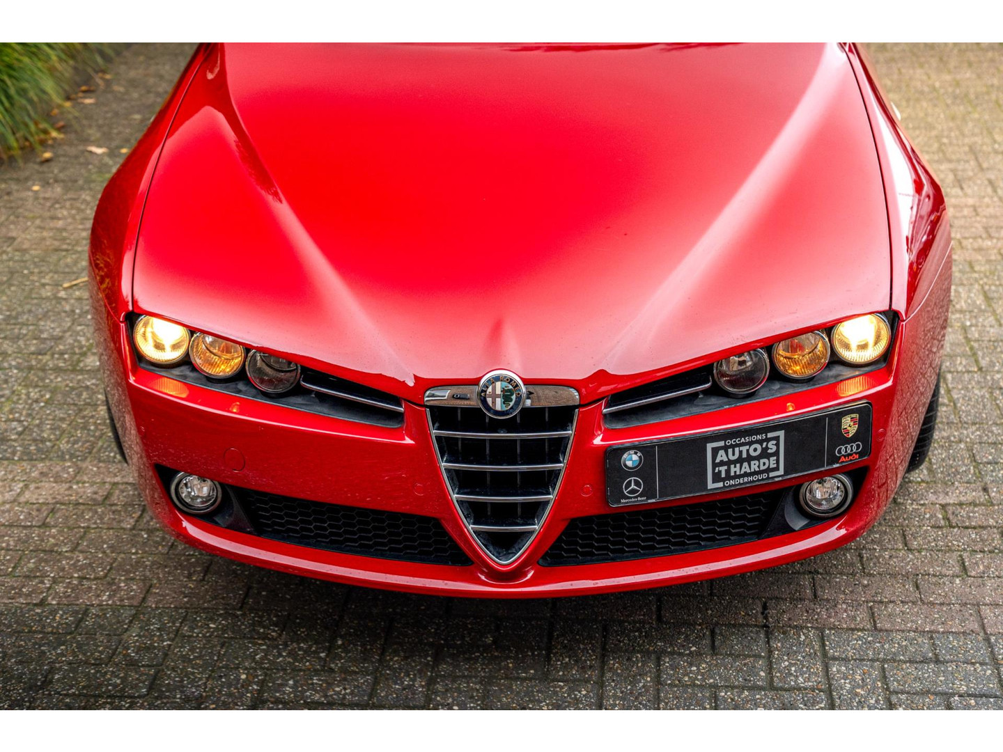 Alfa Romeo Alfa Romeo