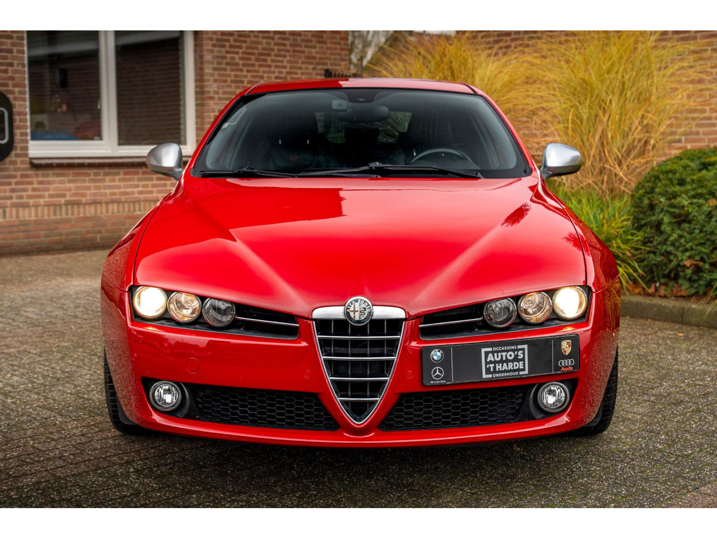 Alfa Romeo Alfa Romeo