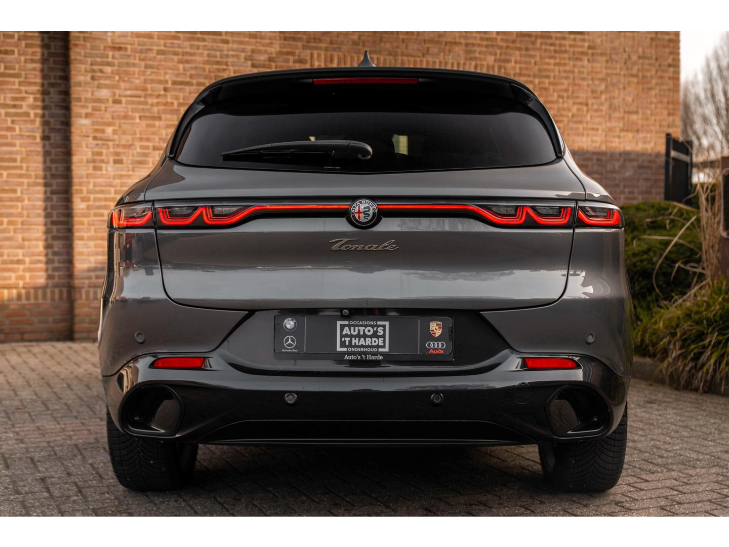 Alfa Romeo Alfa Romeo