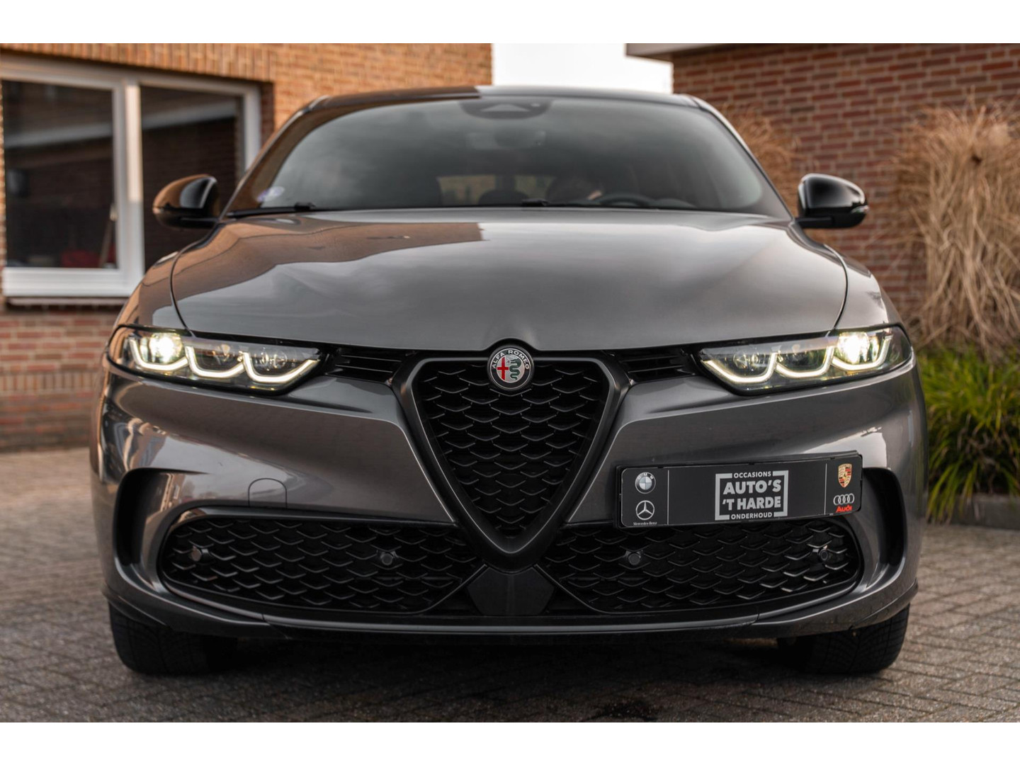 Alfa Romeo Alfa Romeo