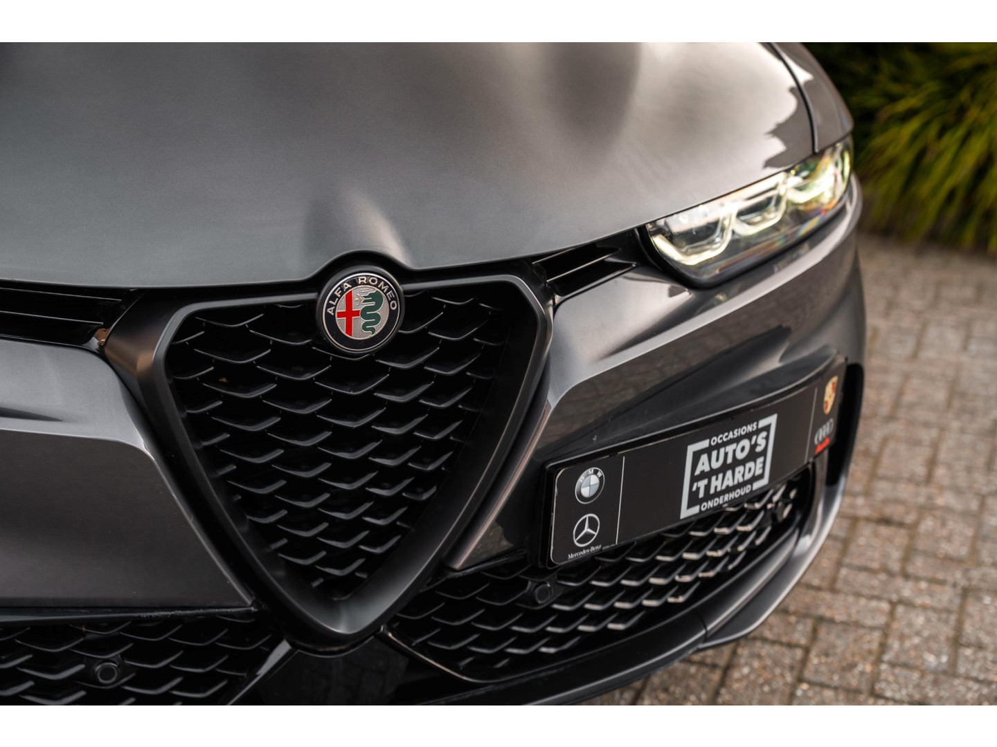 Alfa Romeo Alfa Romeo