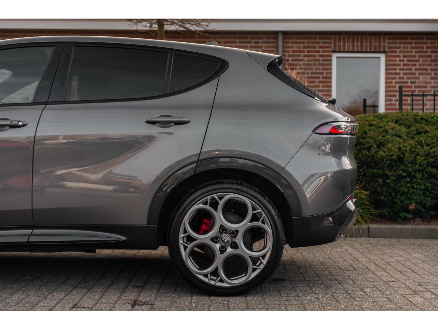 Alfa Romeo Alfa Romeo