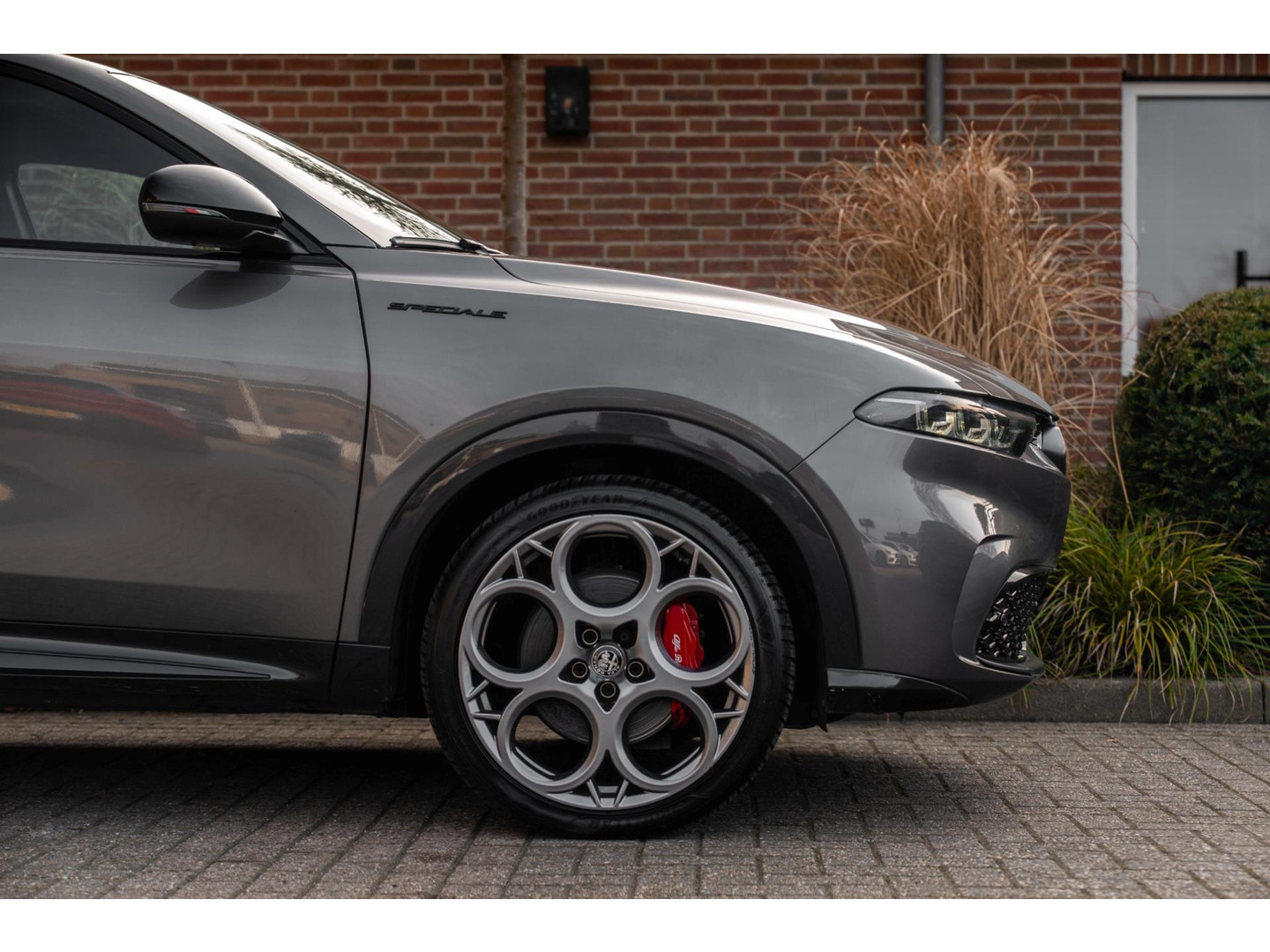 Alfa Romeo Alfa Romeo