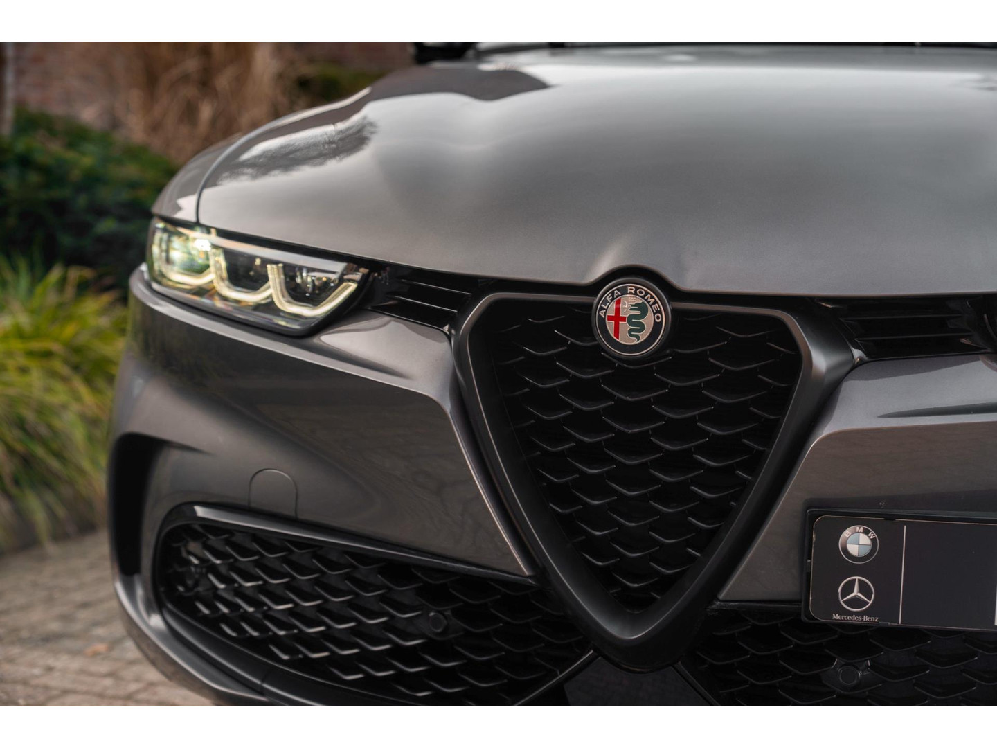 Alfa Romeo Alfa Romeo