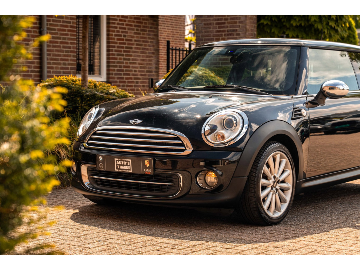 MINI