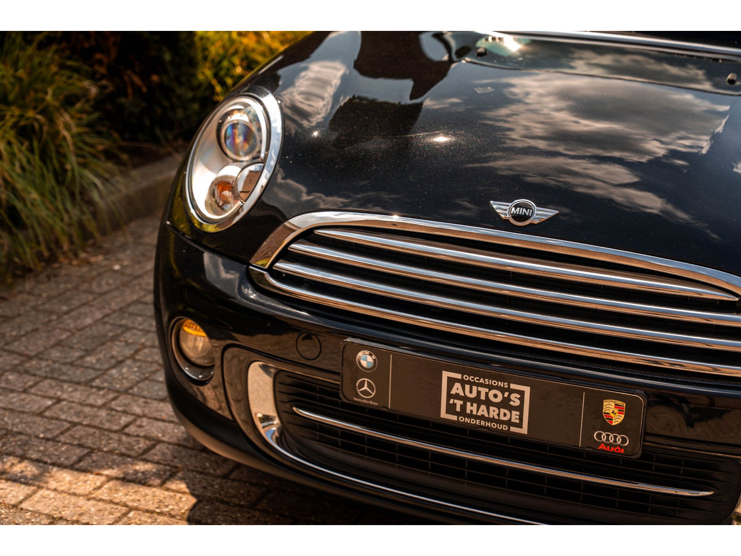 MINI