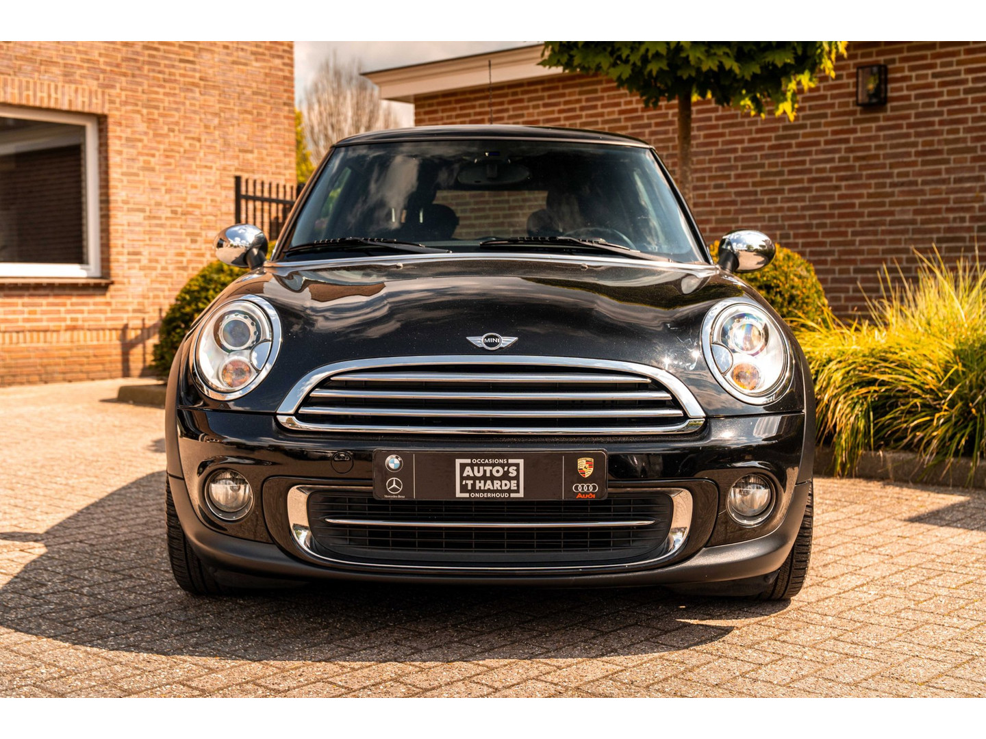 MINI