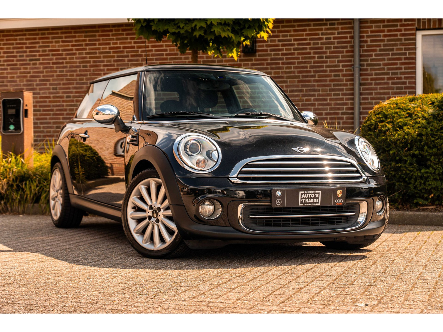 MINI
