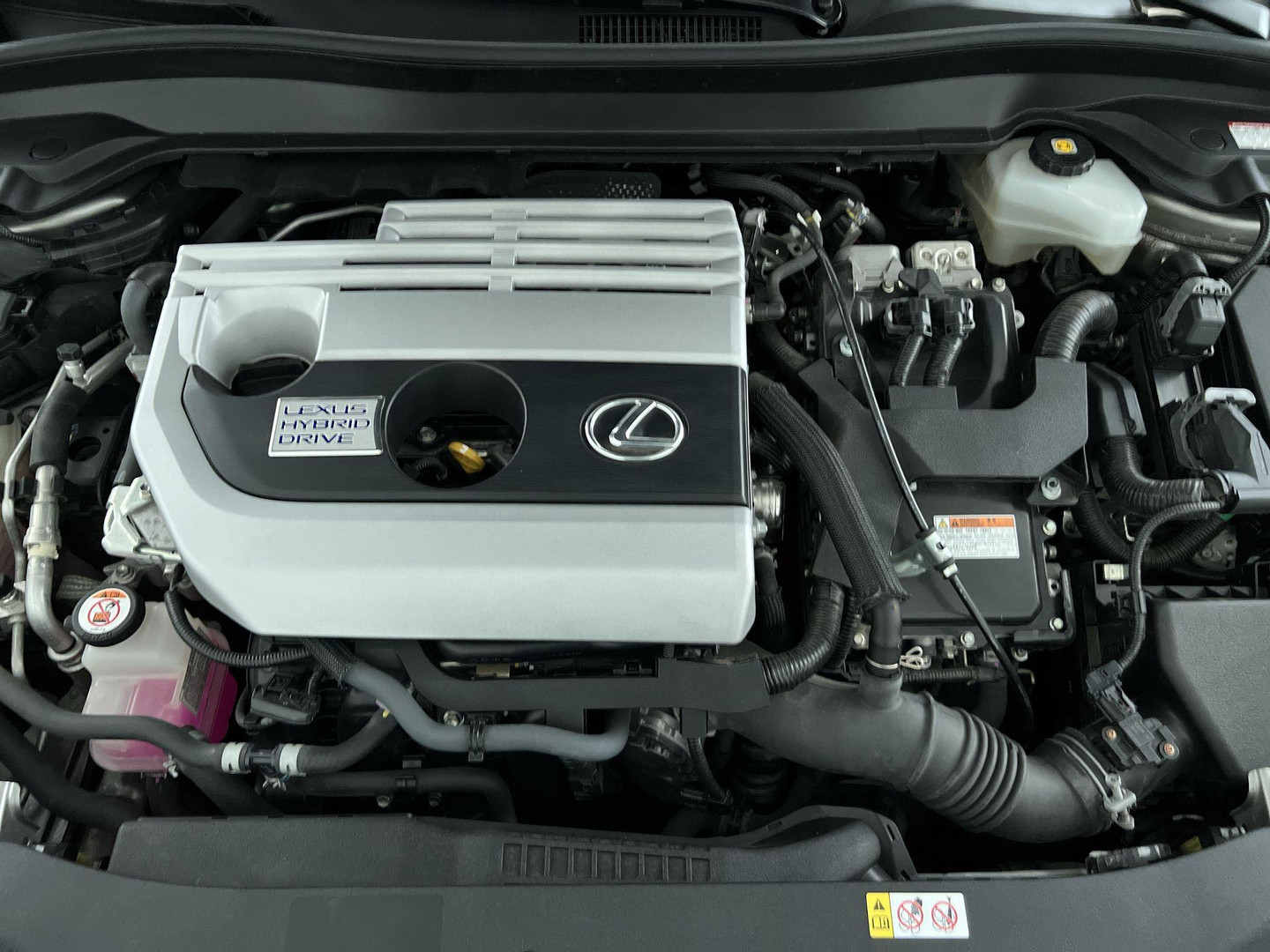 Lexus