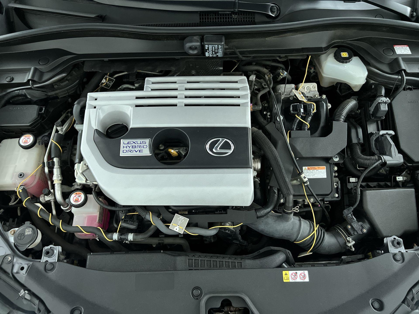 Lexus