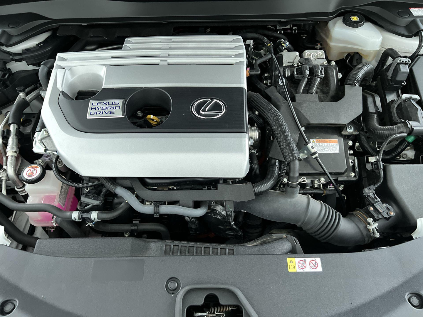 Lexus