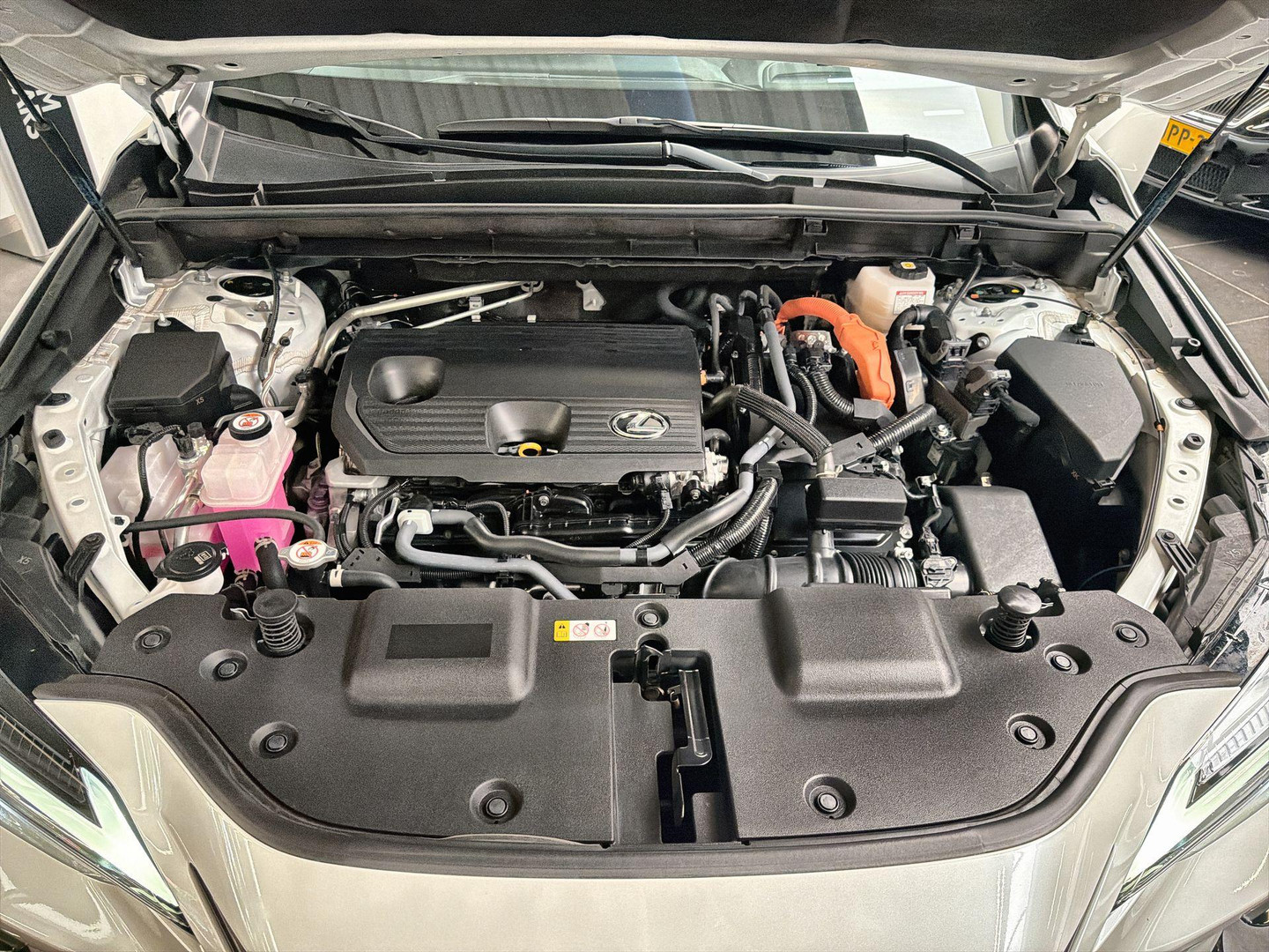 Lexus Lexus