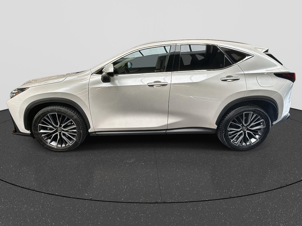 Lexus Lexus