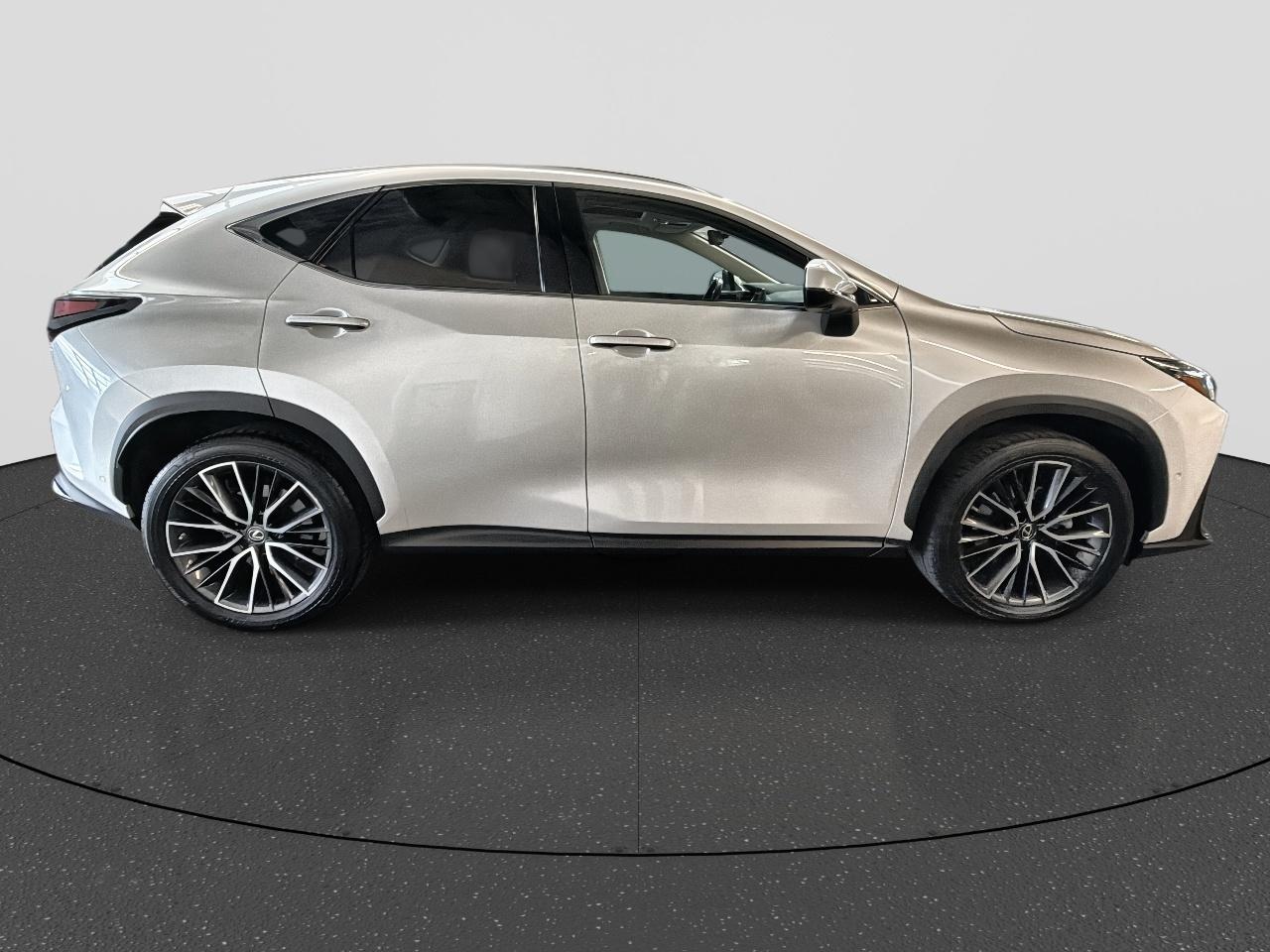 Lexus Lexus
