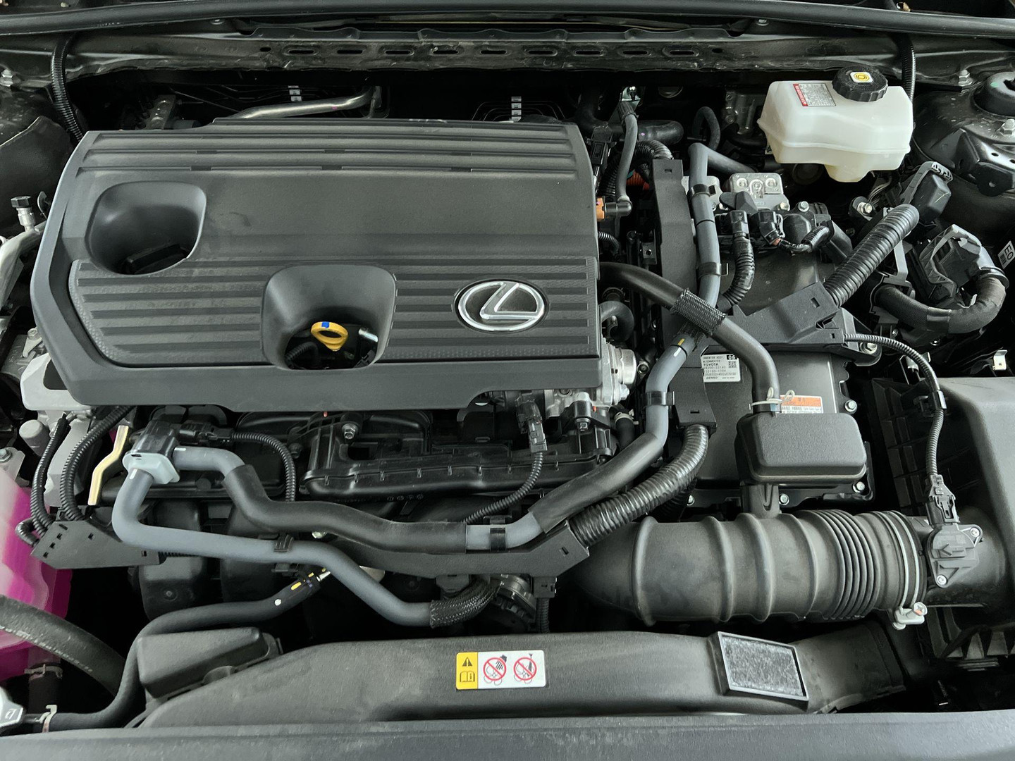 Lexus