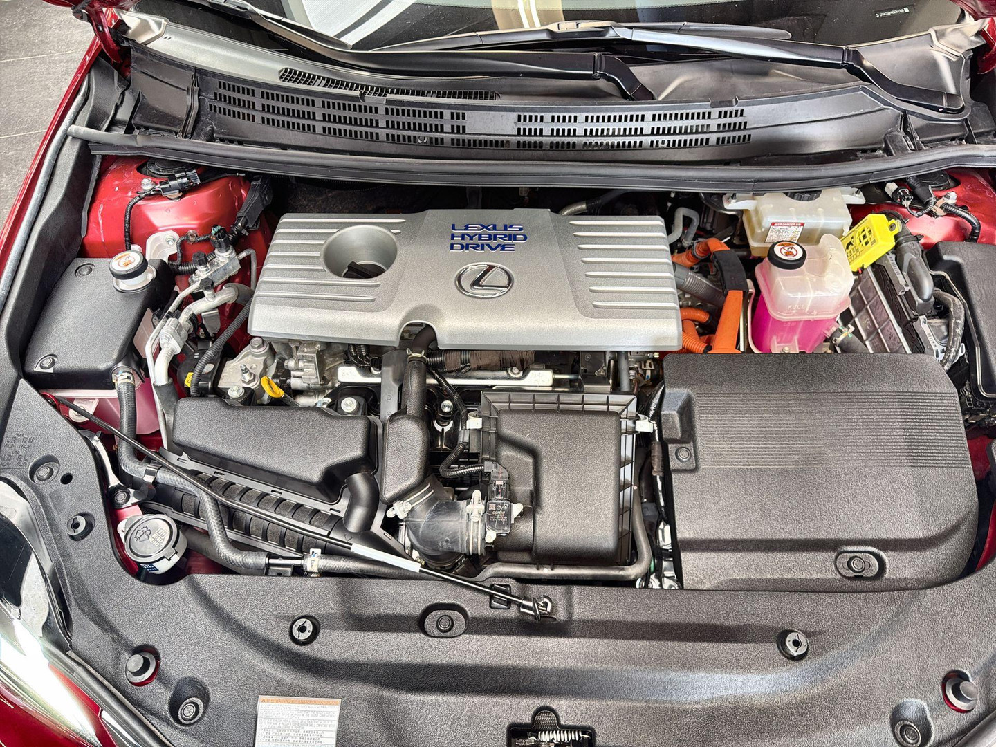 Lexus Lexus