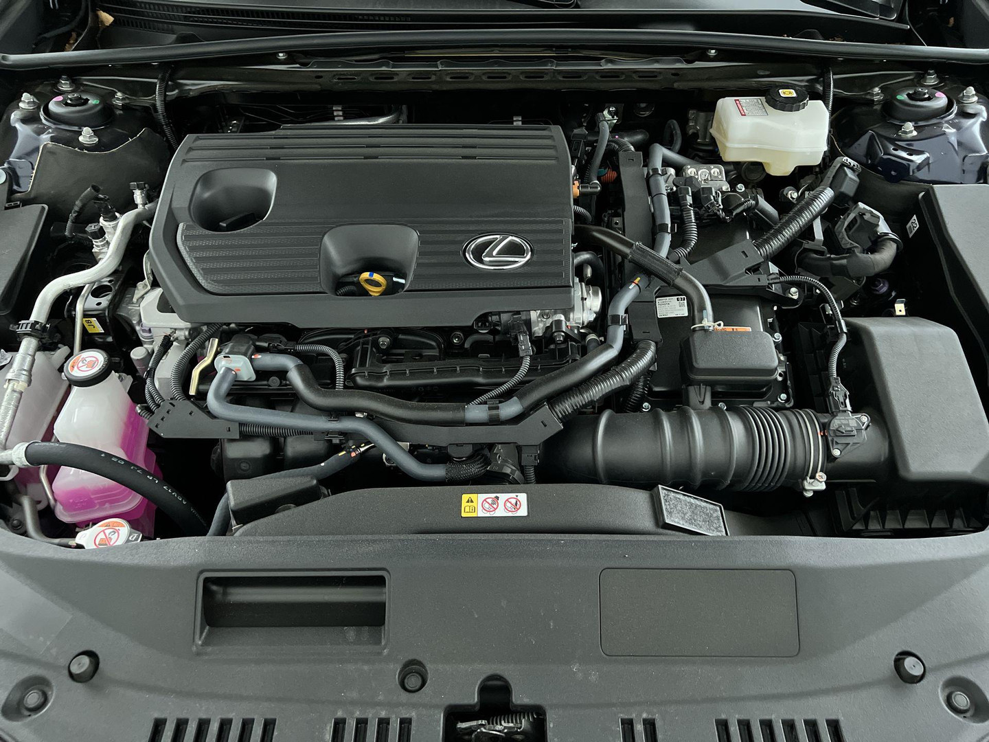Lexus Lexus
