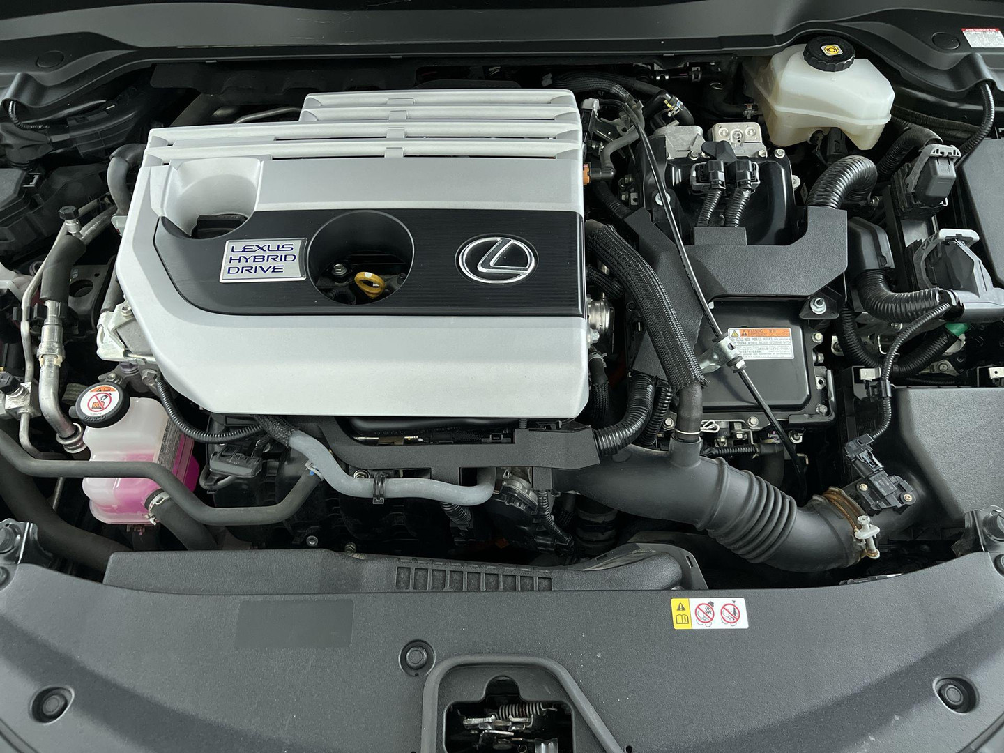 Lexus