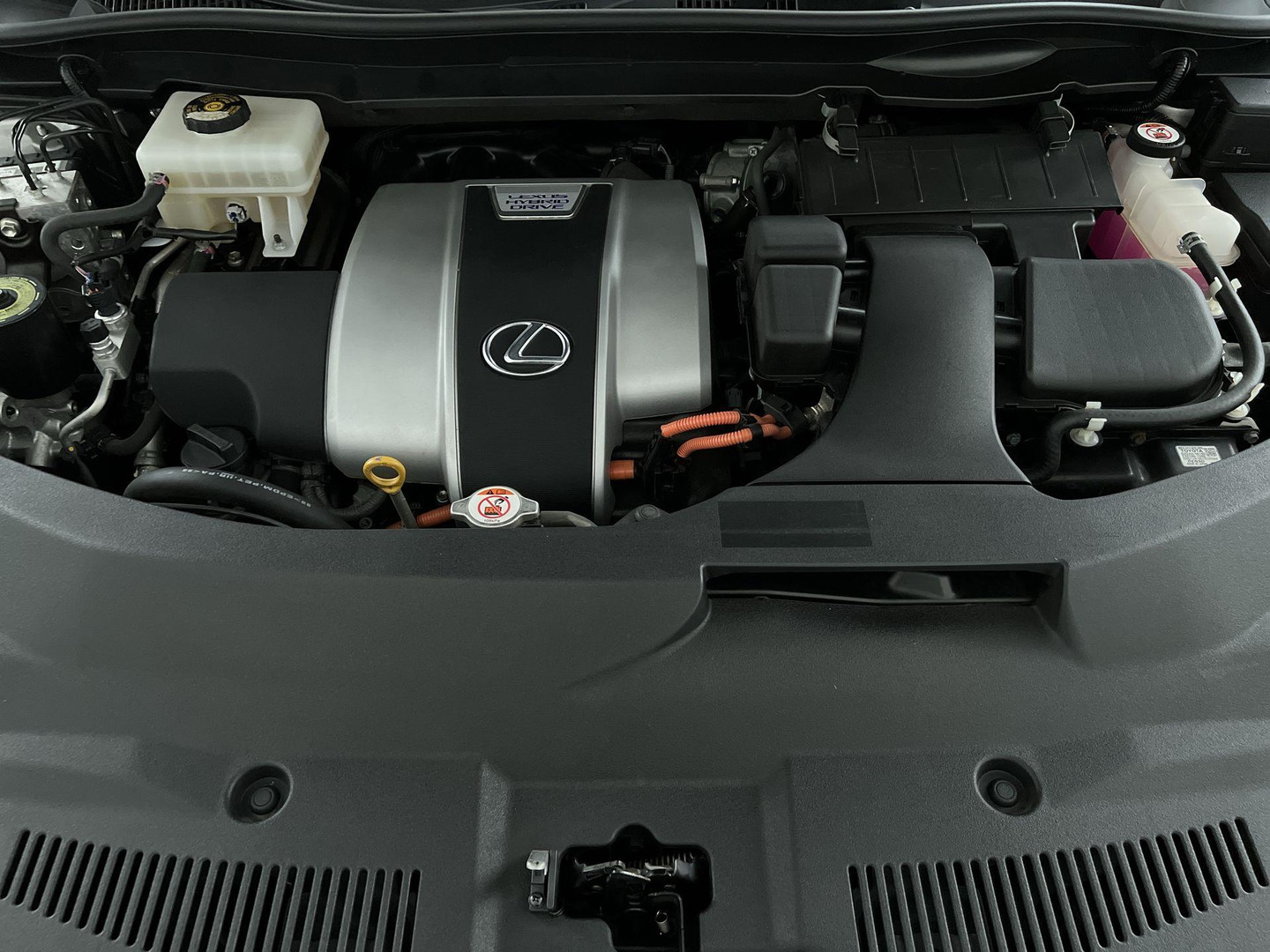 Lexus Lexus