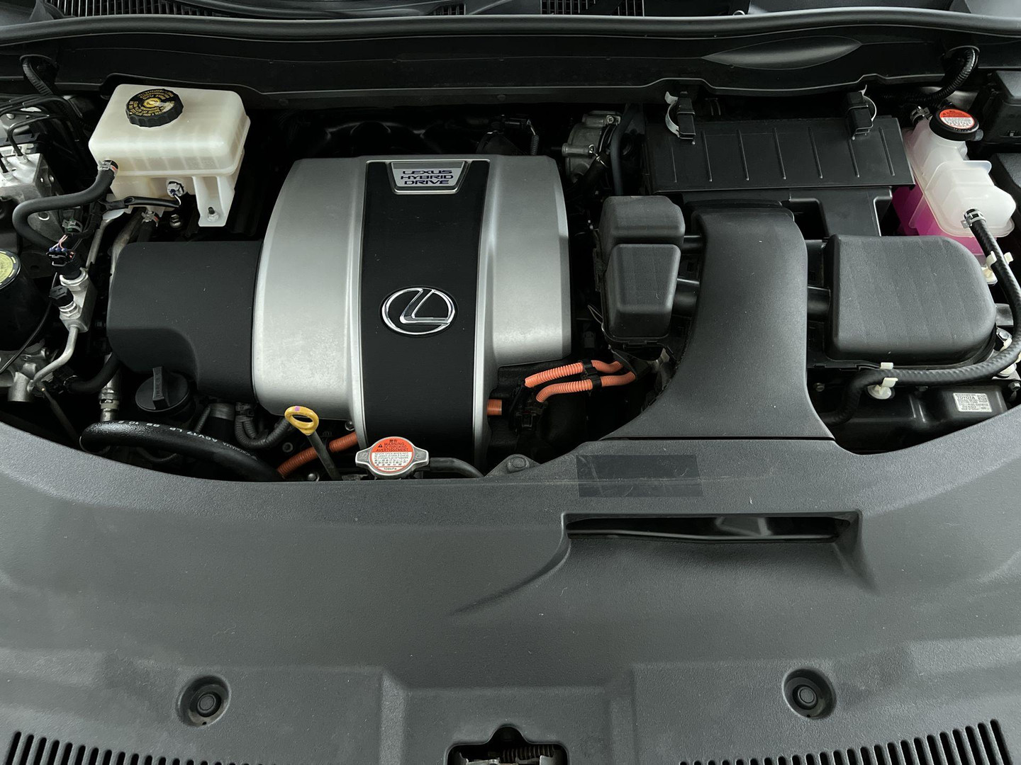 Lexus Lexus