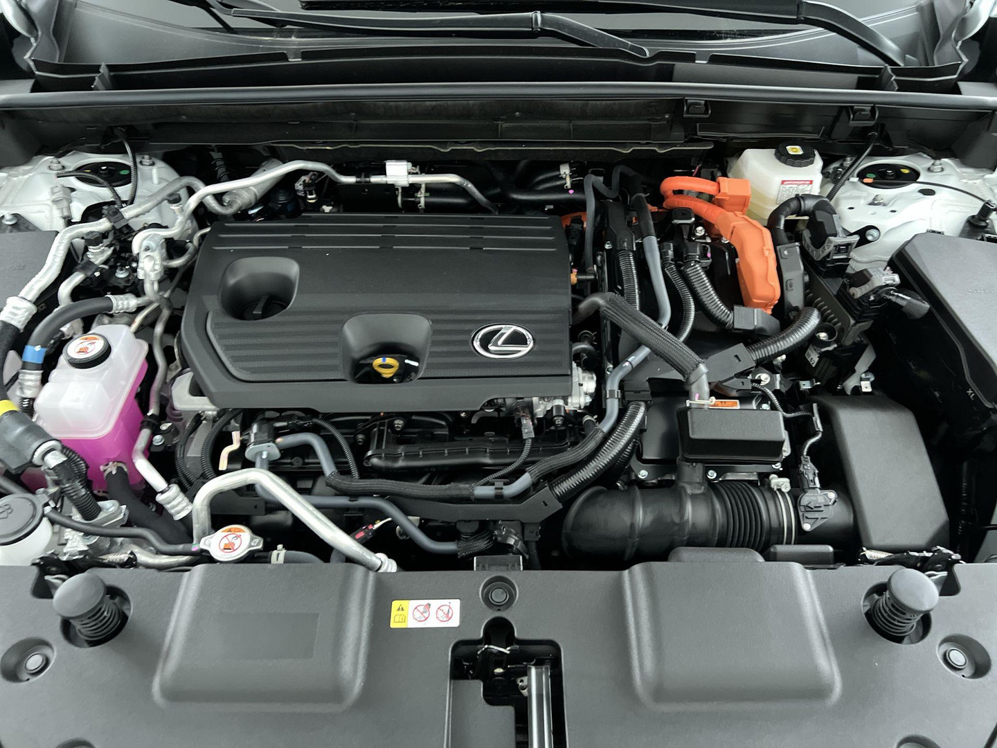 Lexus Lexus