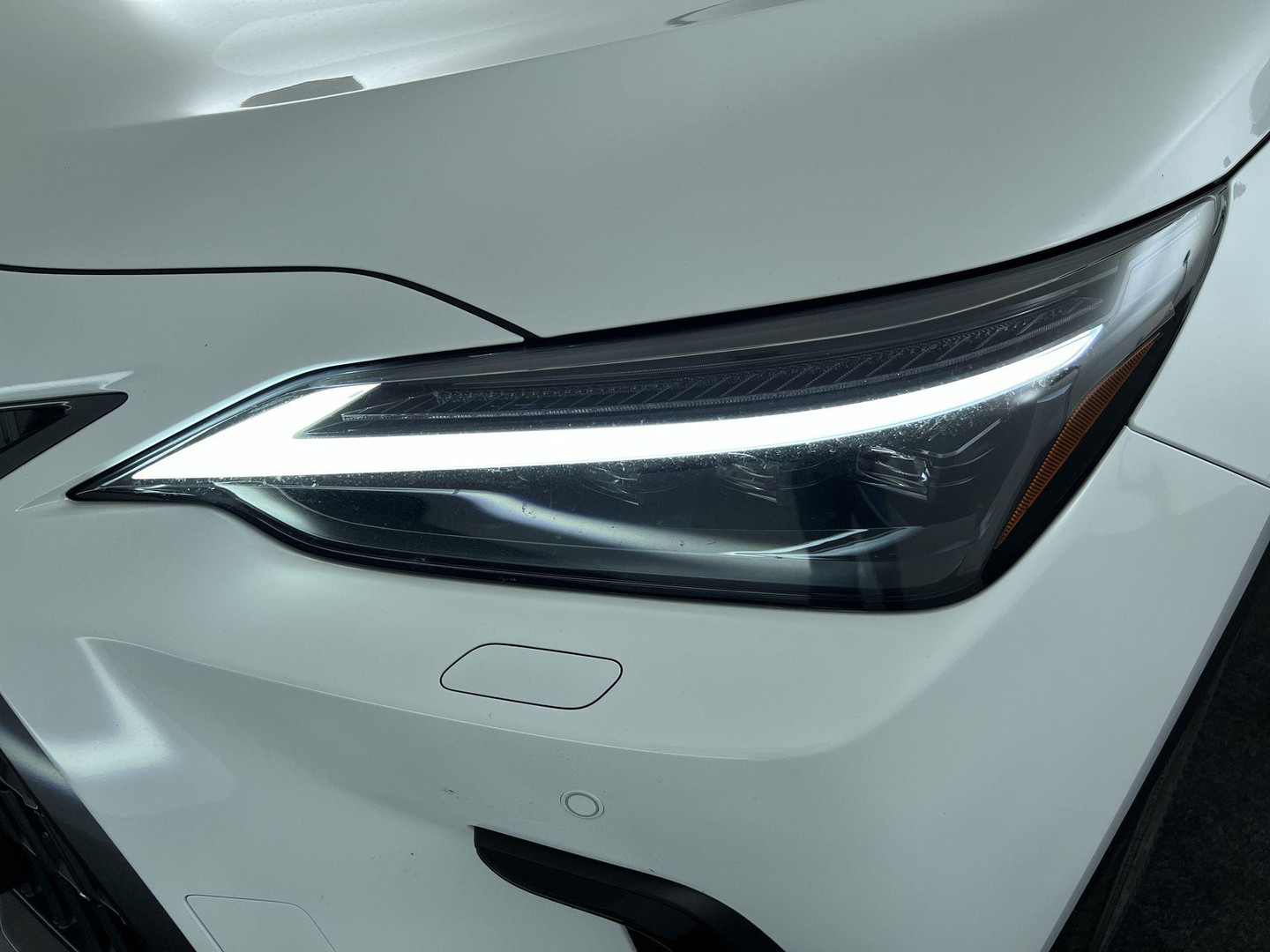 Lexus Lexus