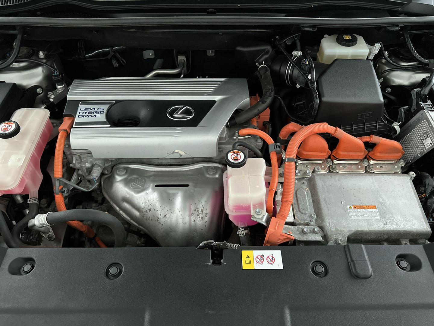 Lexus Lexus