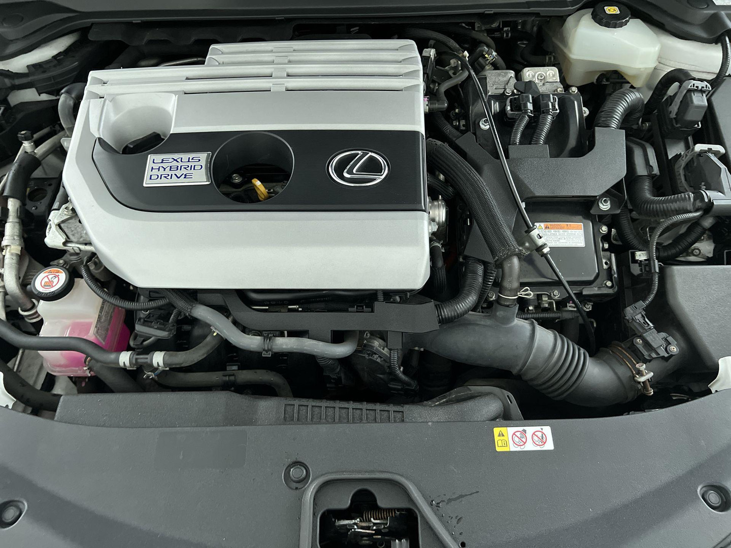 Lexus Lexus
