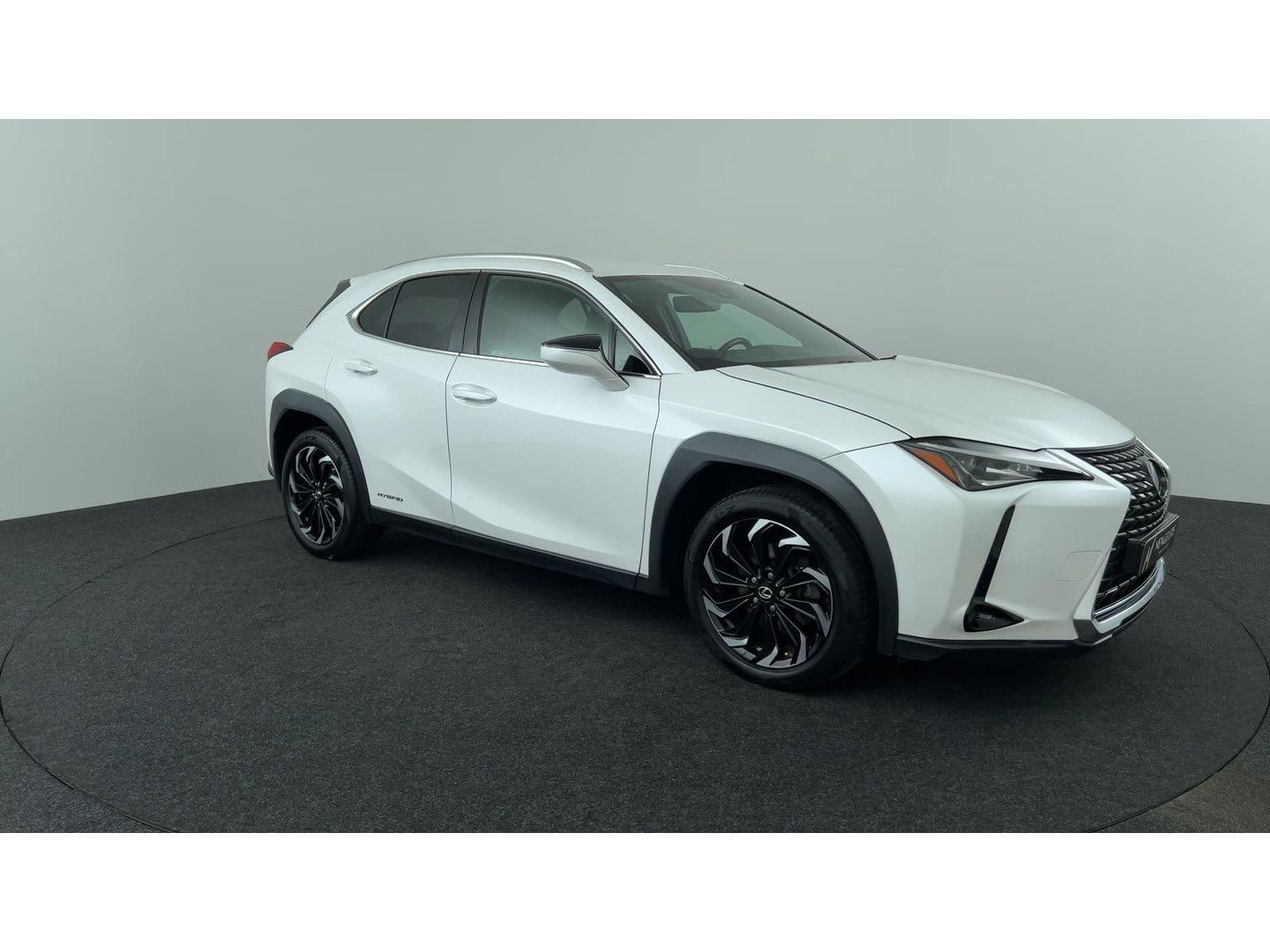 Lexus Lexus