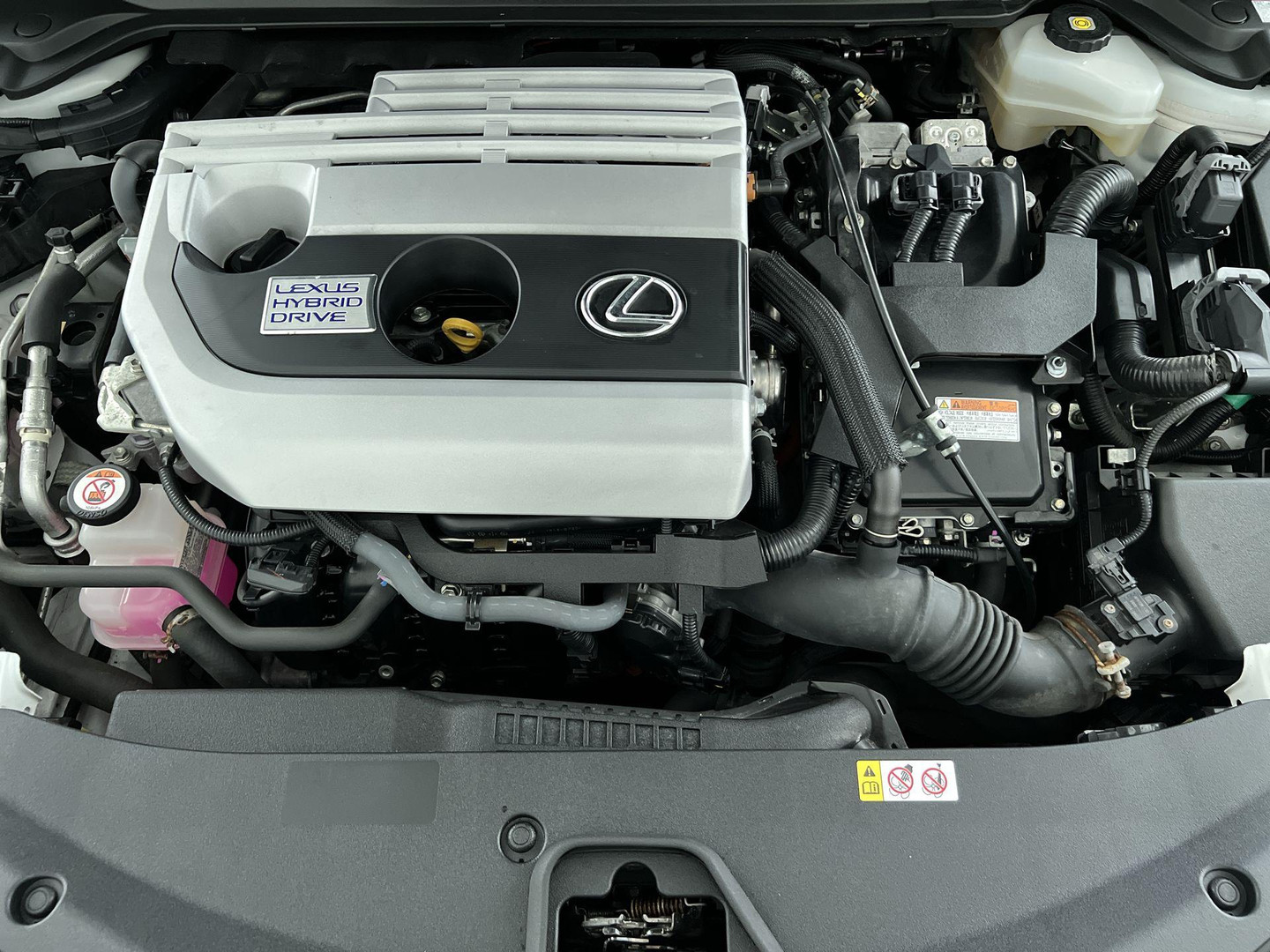 Lexus Lexus