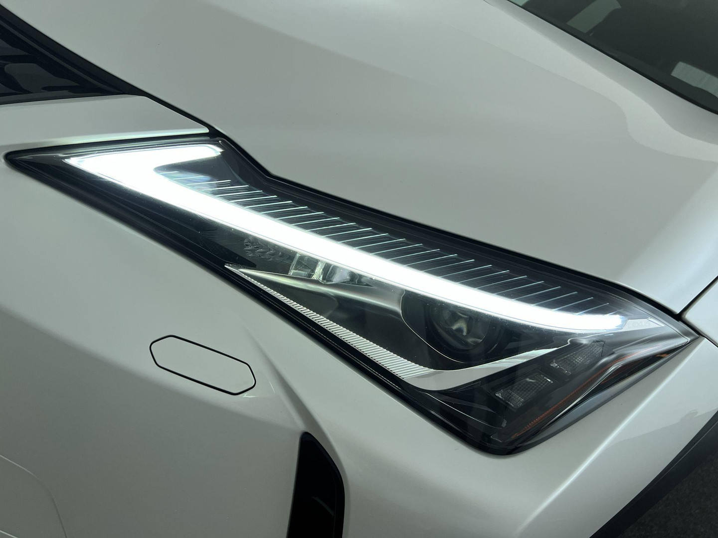 Lexus Lexus