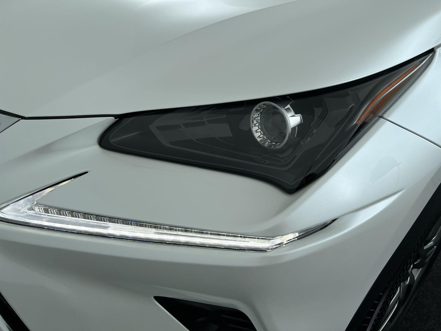 Lexus Lexus