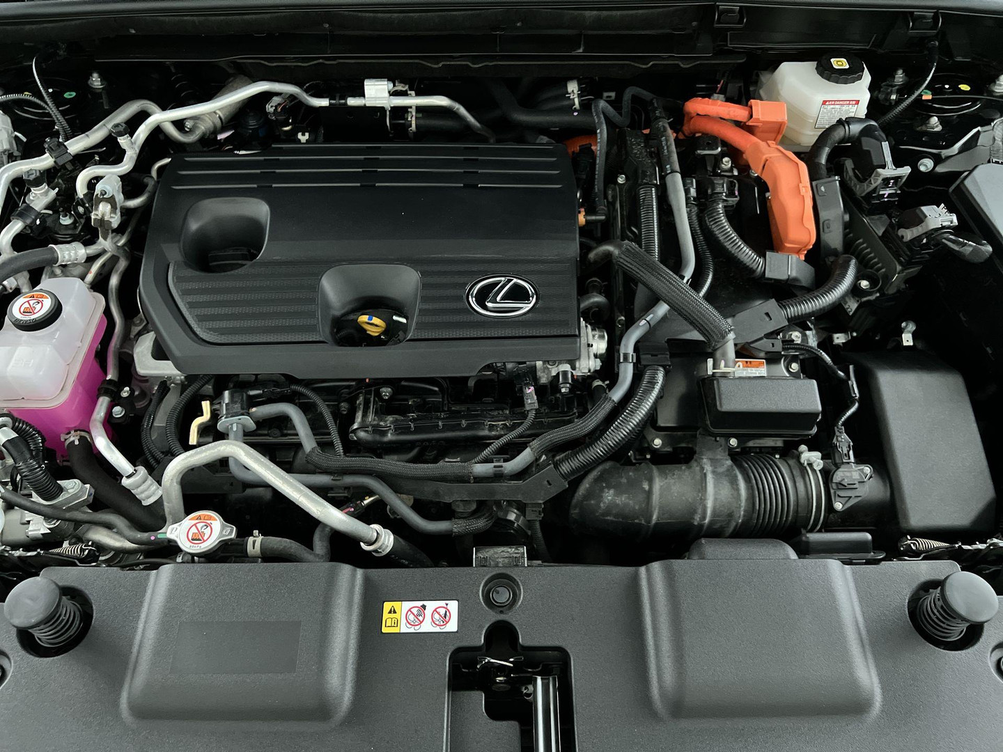 Lexus Lexus