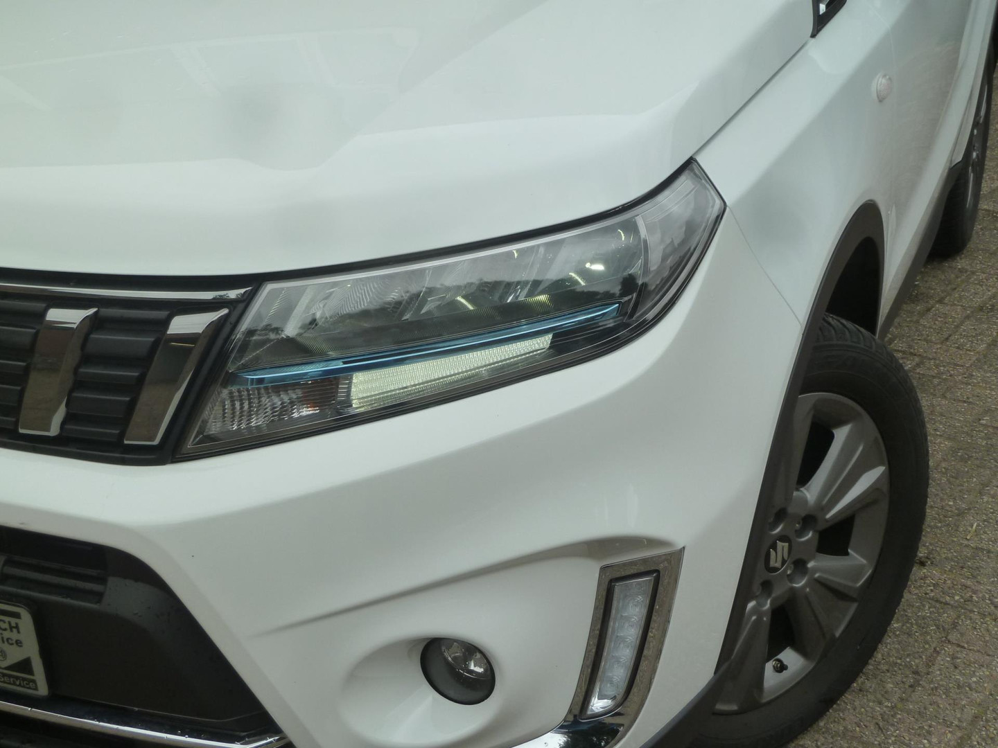 Suzuki