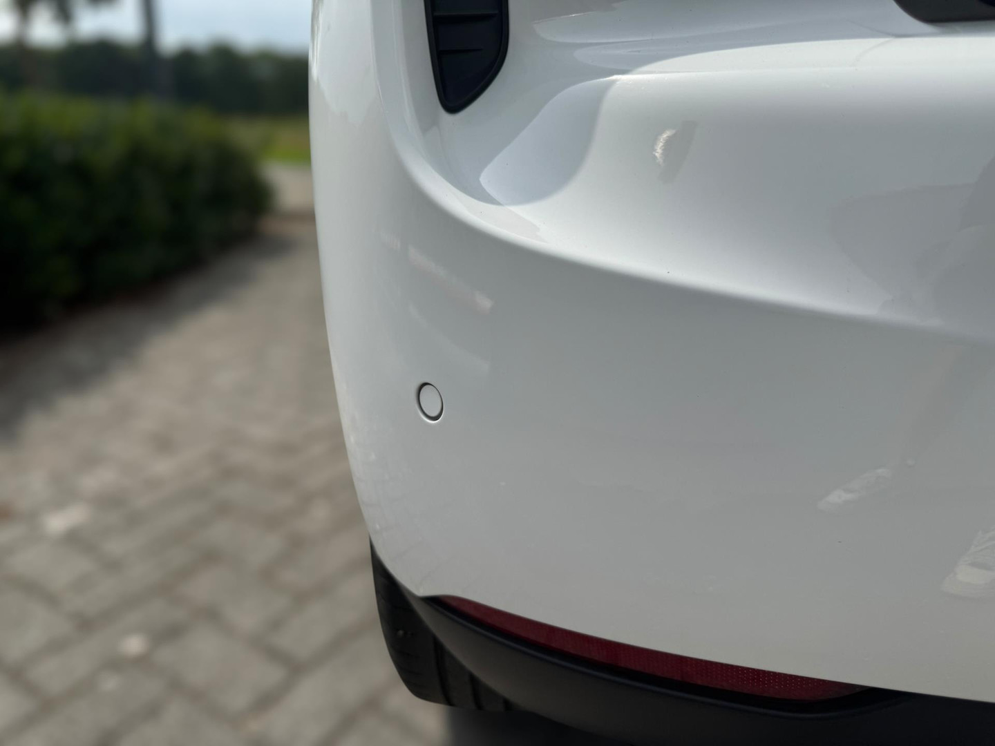DS