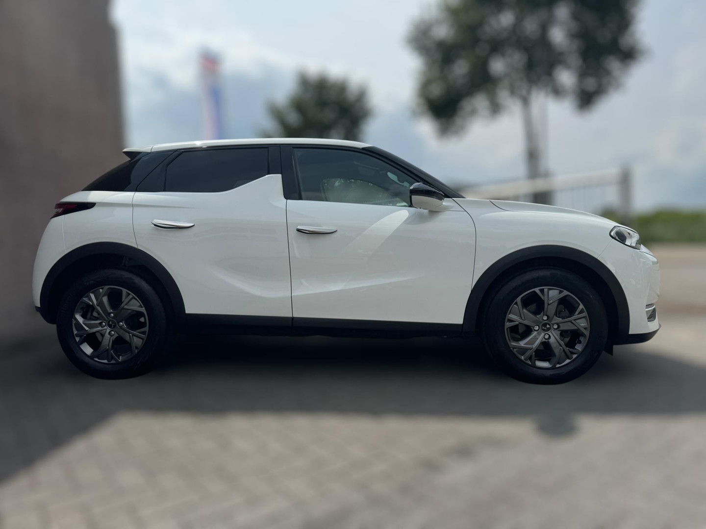 DS