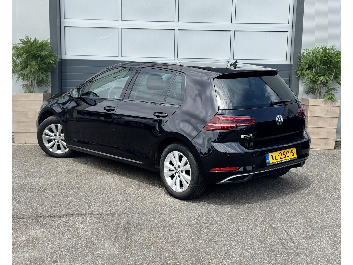 Volkswagen Volkswagen