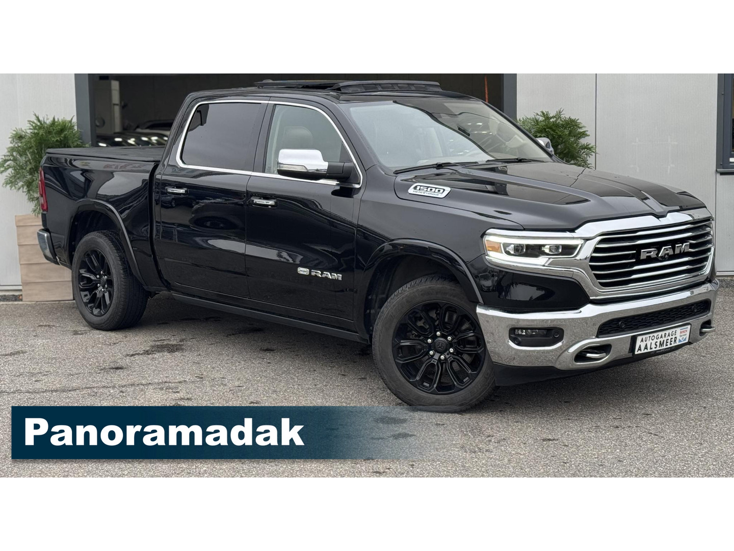 Dodge Dodge