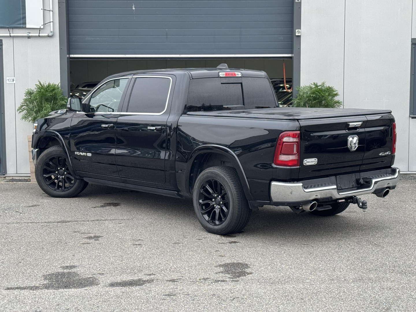 Dodge Dodge