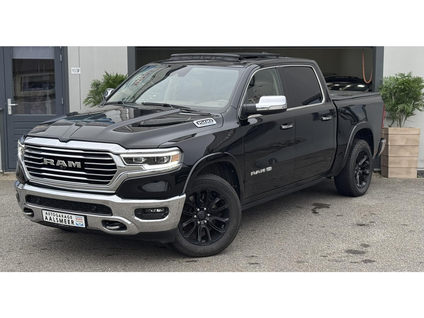 Dodge Dodge