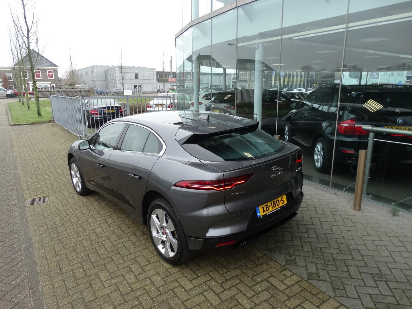 Jaguar Jaguar