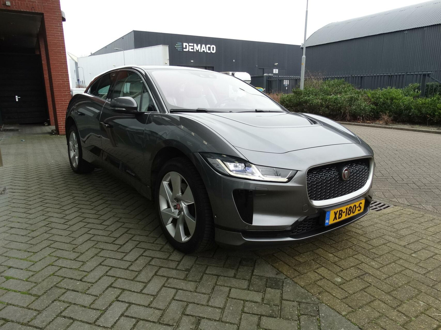 Jaguar Jaguar