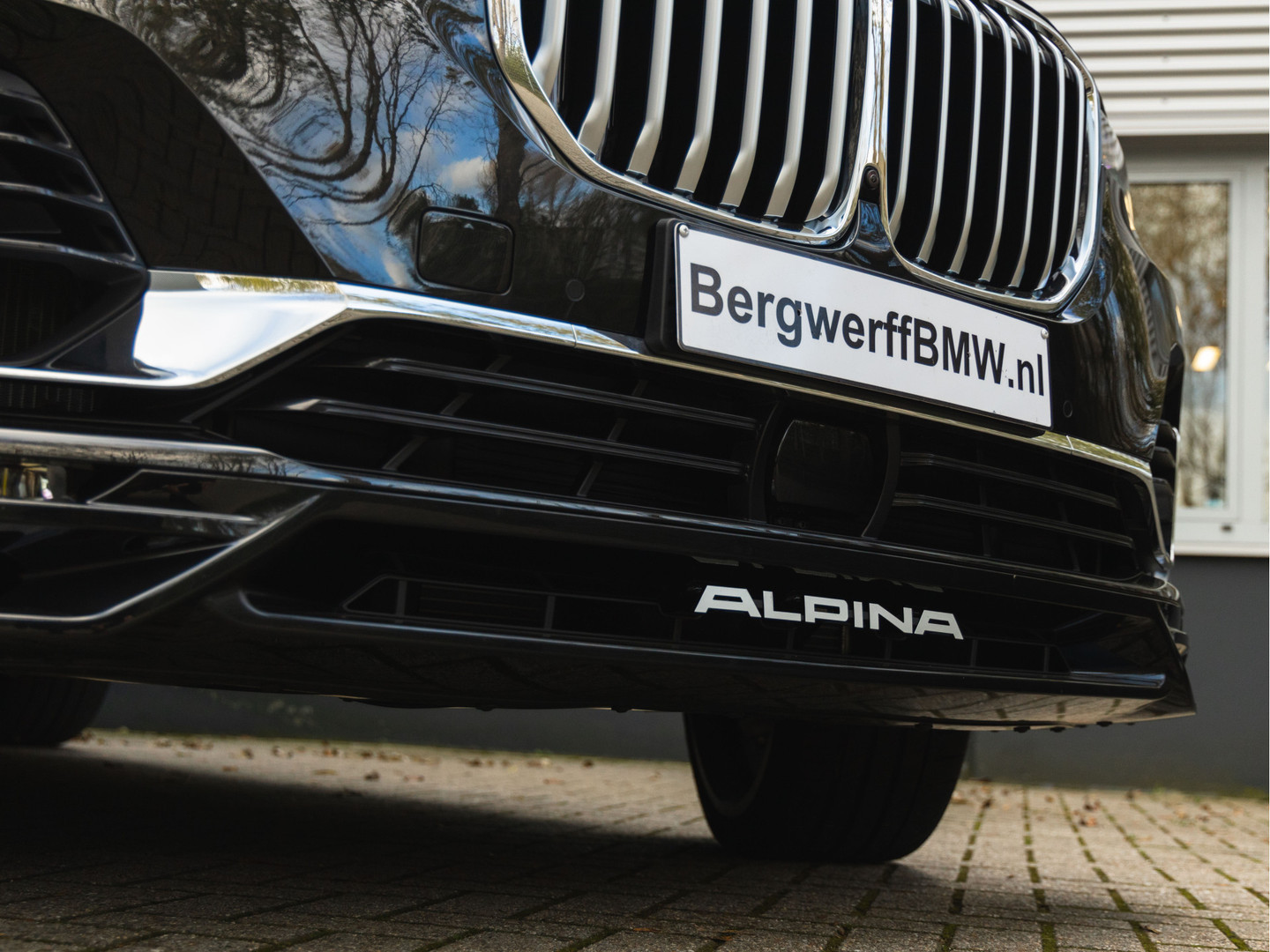 ALPINA