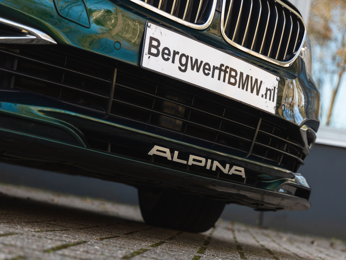 ALPINA