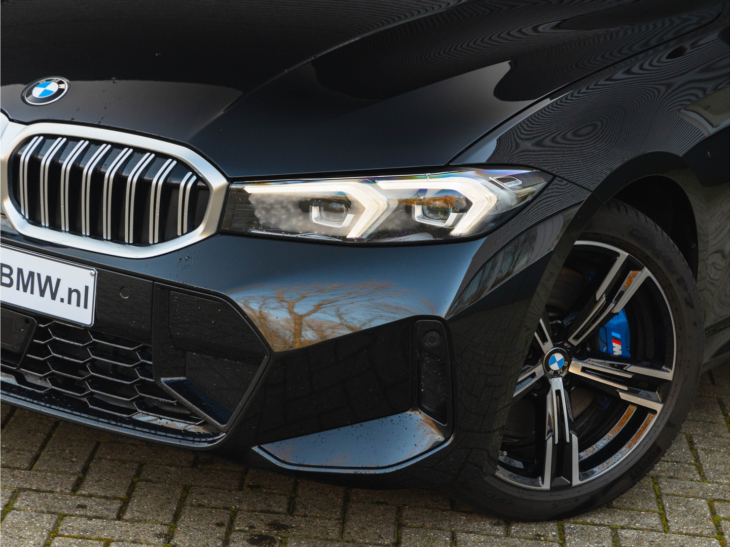 BMW BMW