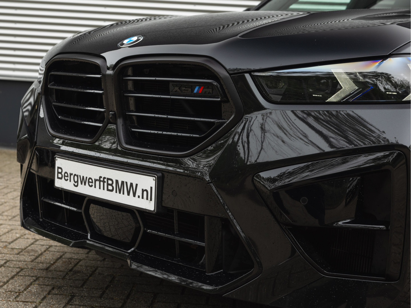 BMW BMW
