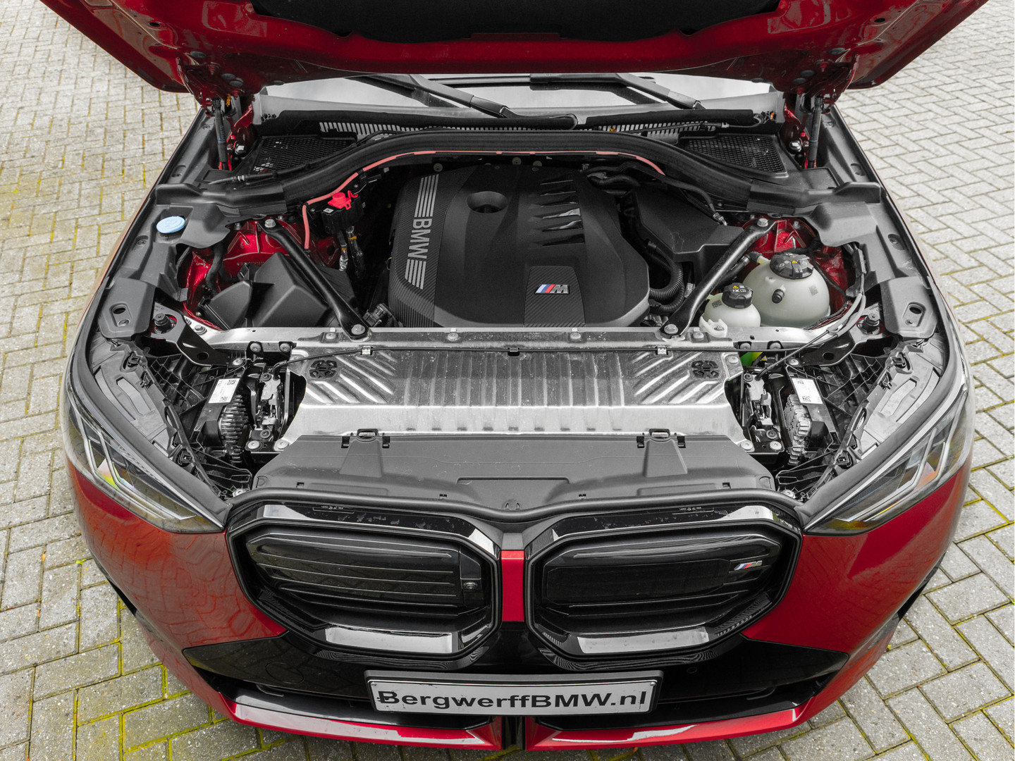 BMW BMW